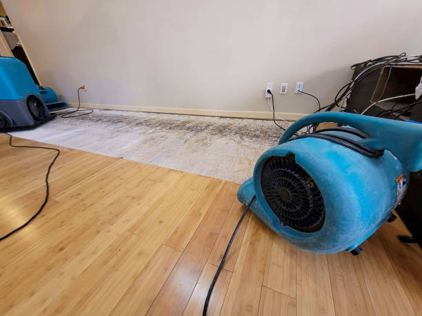Professional Water Extraction technician working in Sewaren, NJ